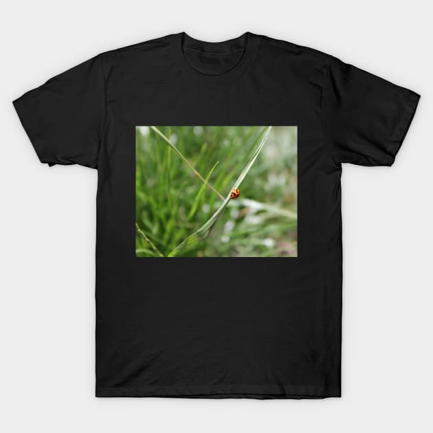 Lucky Ladybug in the grass T-Shirt by HFGJewels